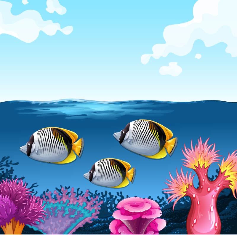 graphic design importance image of ocean fish